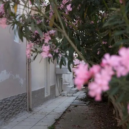 Elina * Agia Triada (Thessaloniki)